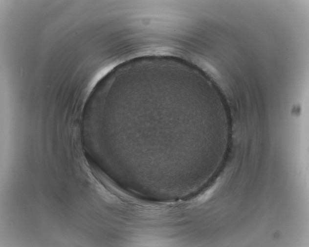 X0000091961081200709061257