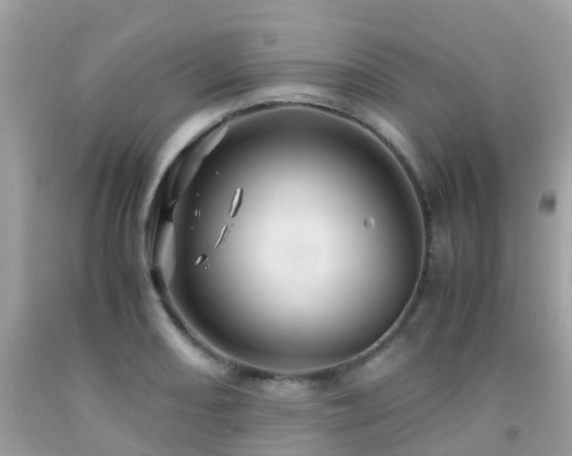 X0000091961082200709061257