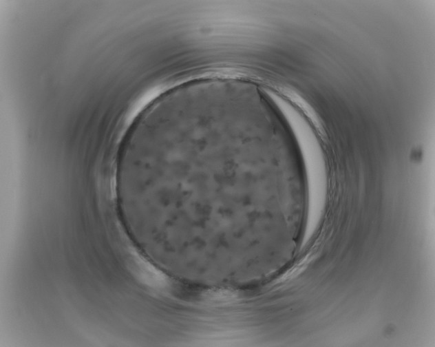 X0000091961083200709061257