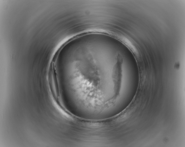 X0000091961084200709061257