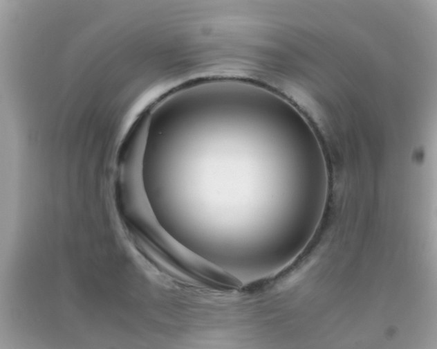 X0000091961085200709061257