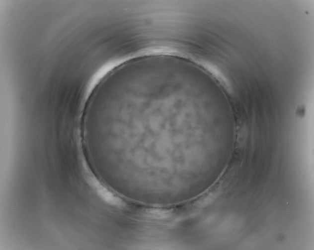 X0000091961086200709061257