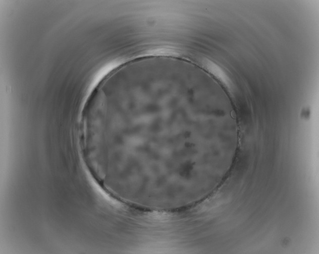 X0000091961087200709061257