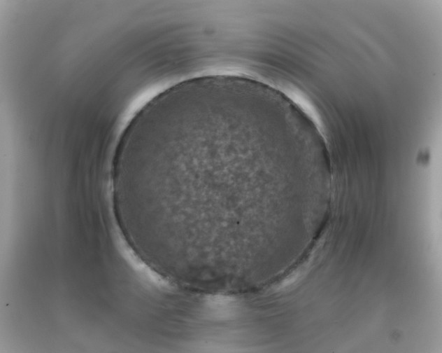 X0000091961088200709061257