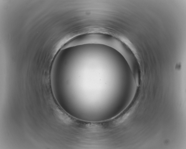 X0000091961089200709061257