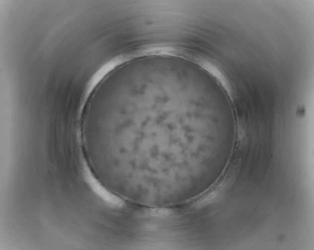 X0000091961090200709061257