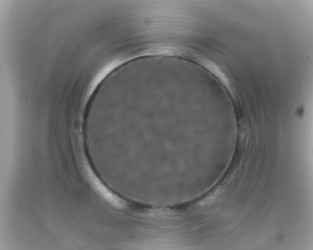 X0000091961091200709061257