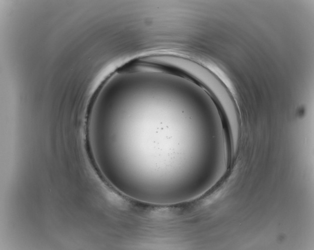 X0000091961093200709061257