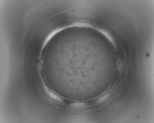 X0000091961094200709061257