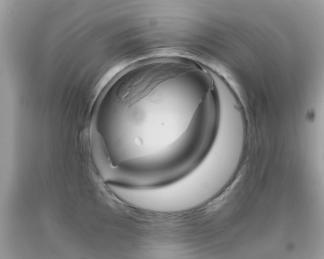 X0000091961097200709061256