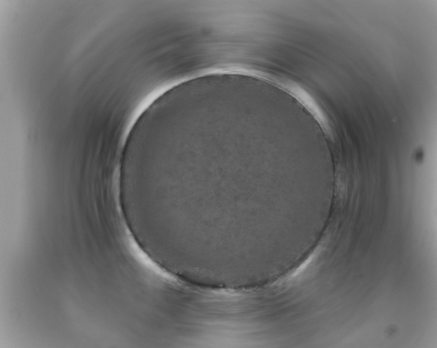 X0000091961100200709061256