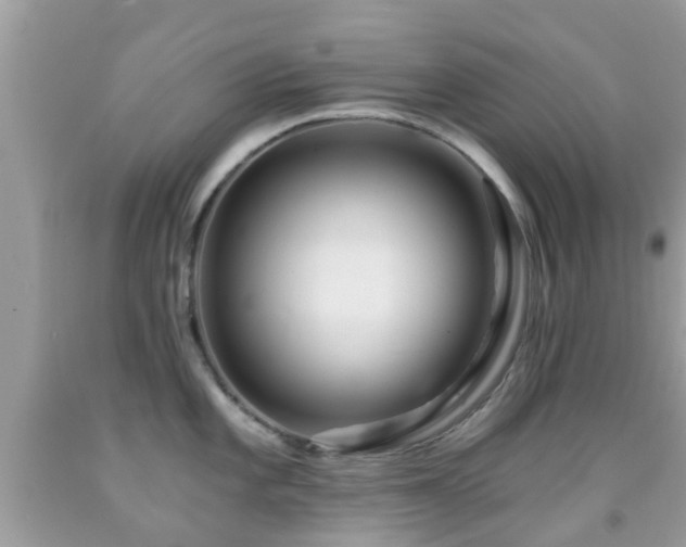 X0000091961101200709061256