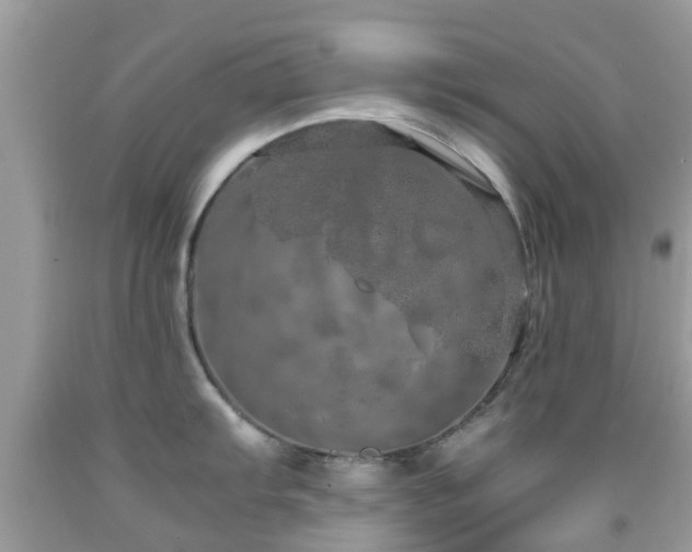 X0000091961103200709061256