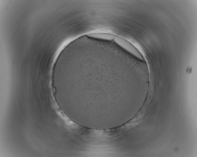 X0000091961104200709061256