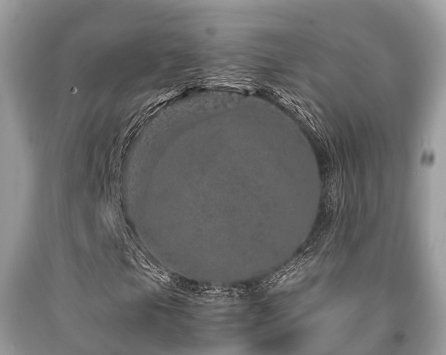 X0000091961105200709061256