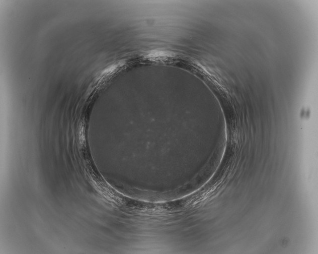 X0000091961106200709061256