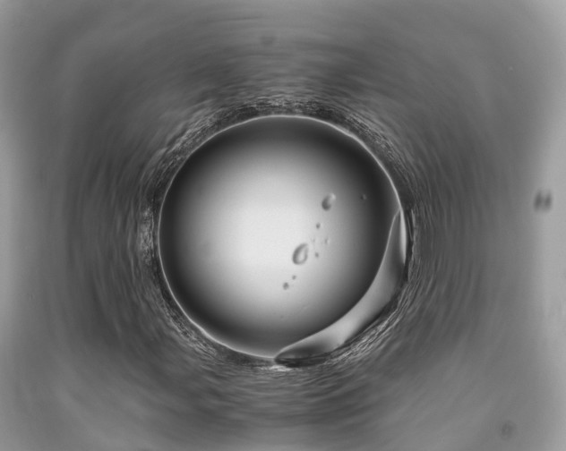 X0000091961107200709061256