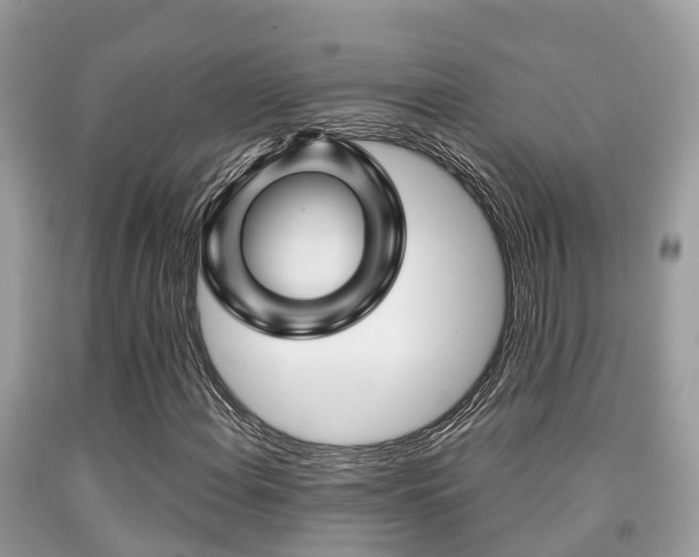 X0000091961108200709061256