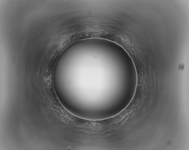 X0000091961109200709061256