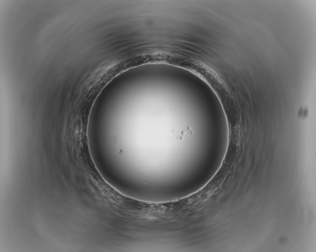 X0000091961111200709061256