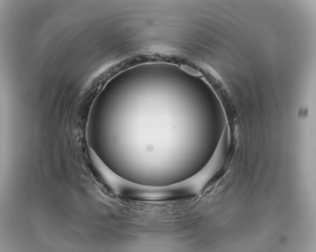 X0000091961112200709061256