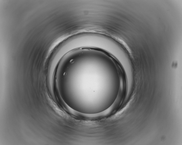 X0000091961114200709061256