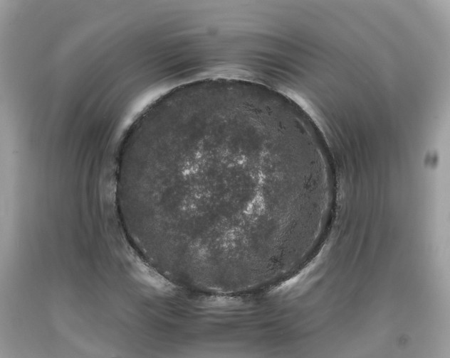 X0000091961115200709061256