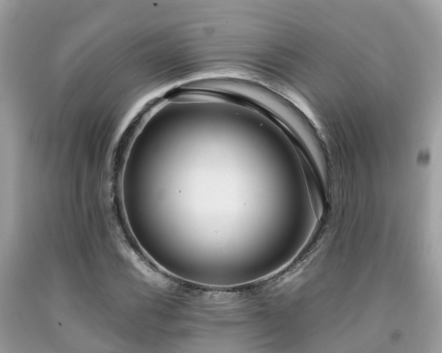 X0000091961116200709061256