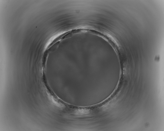 X0000091961117200709061256