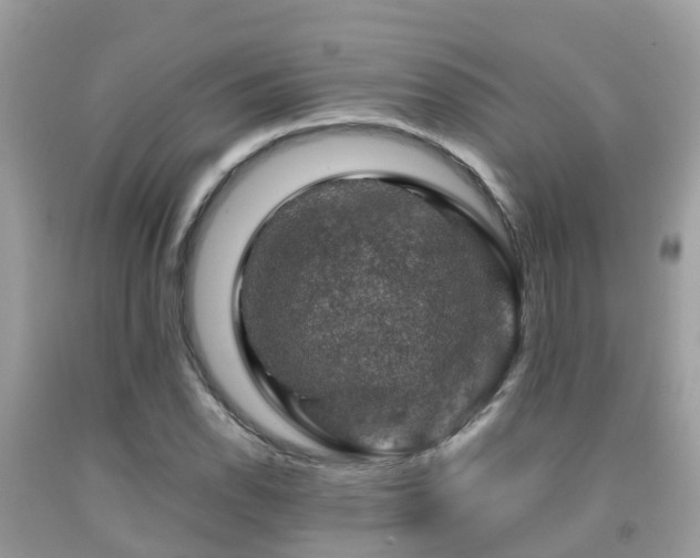 X0000091961118200709061256