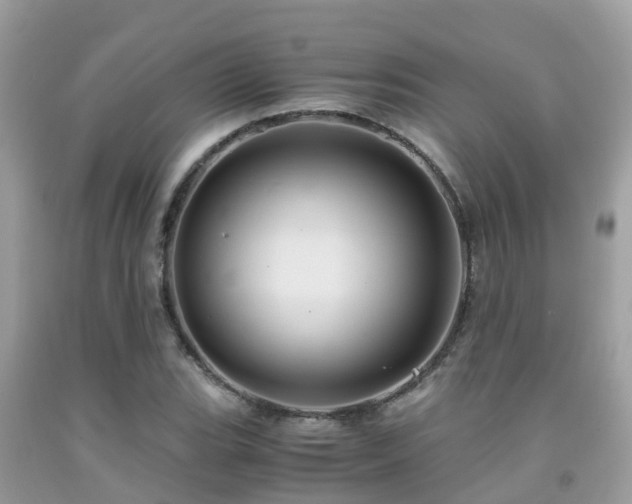 X0000091961119200709061256