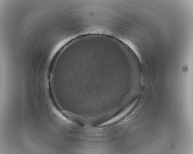 X0000091961120200709061256