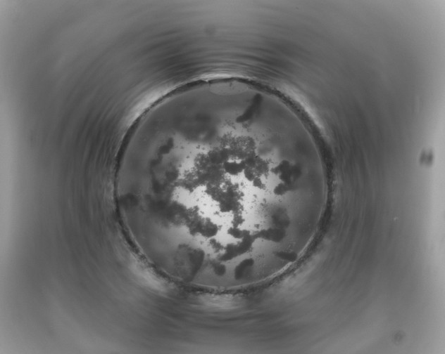 X0000091961121200709061256