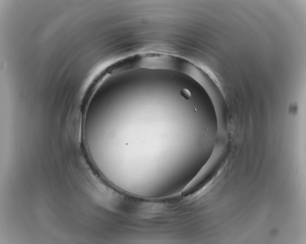 X0000091961123200709061256