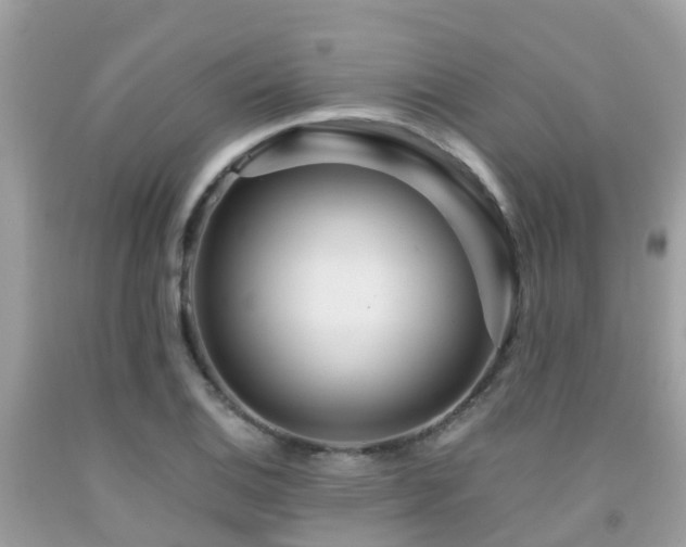 X0000091961124200709061256