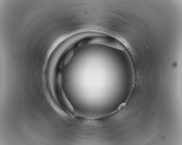 X0000091961128200709061256