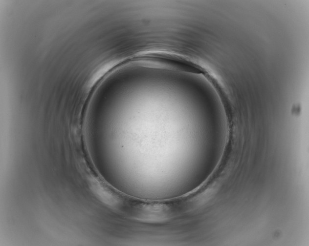 X0000091961129200709061256