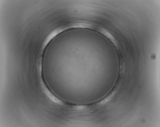 X0000091961130200709061256