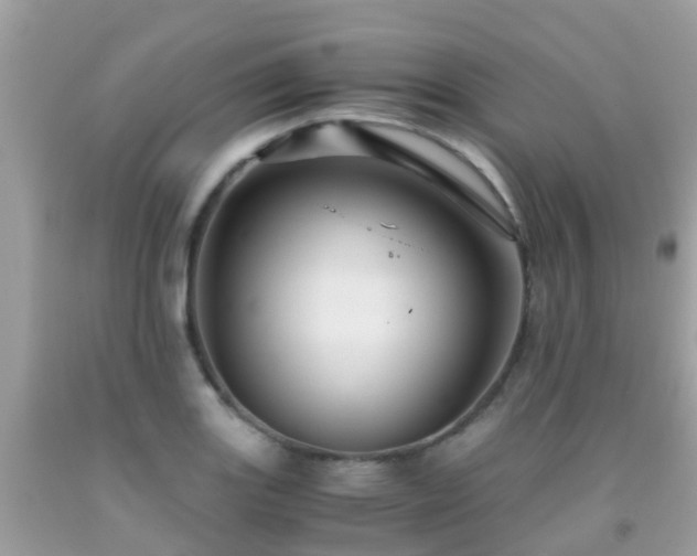 X0000091961131200709061256