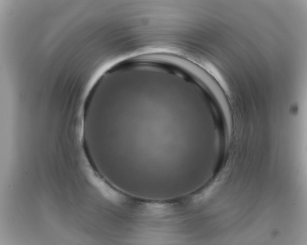 X0000091961132200709061256