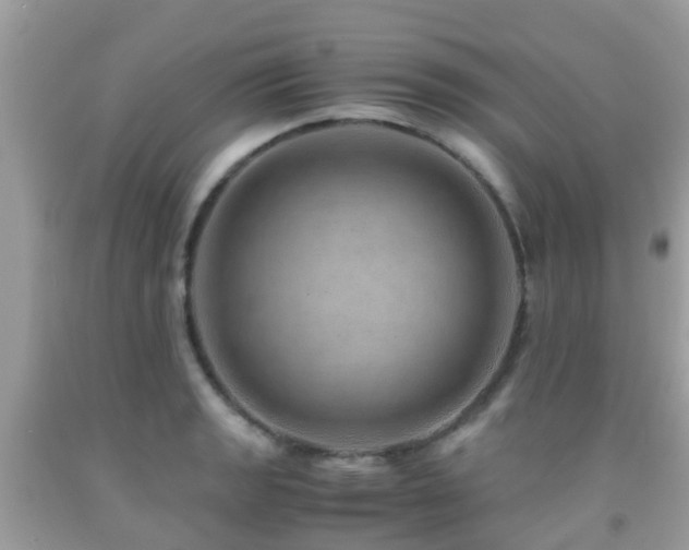 X0000091961133200709061256