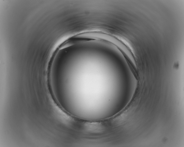 X0000091961135200709061256