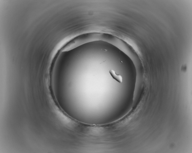 X0000091961136200709061256