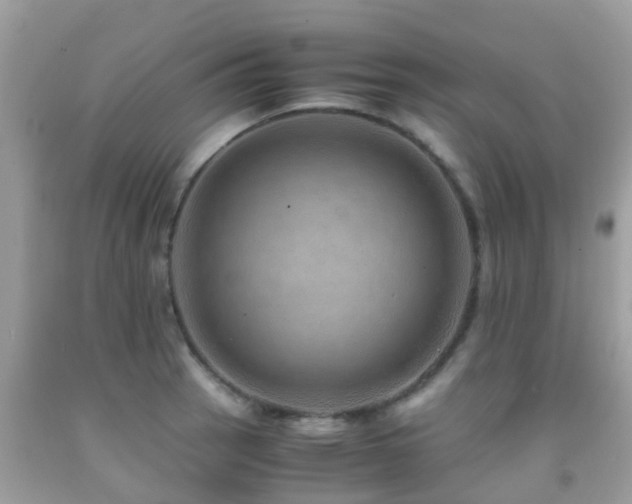 X0000091961137200709061256