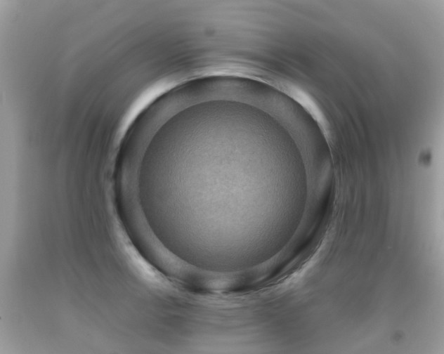 X0000091961138200709061256