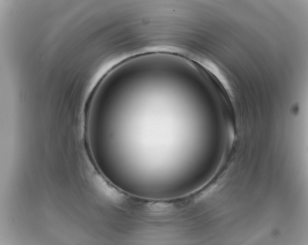 X0000091961140200709061256