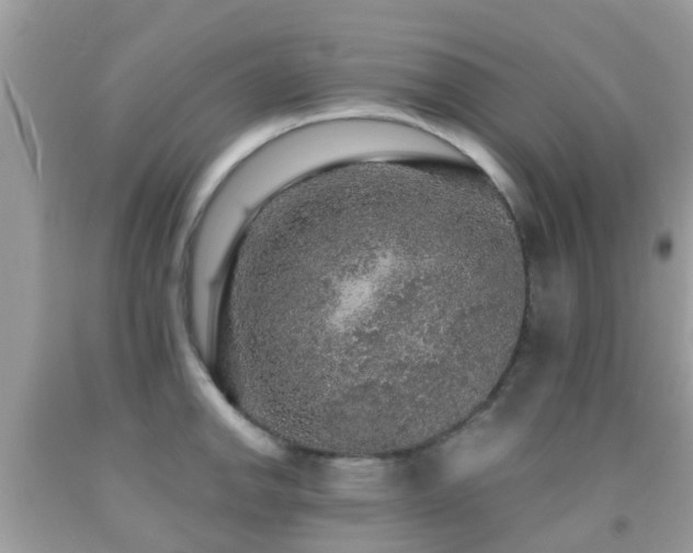 X0000091961142200709061256