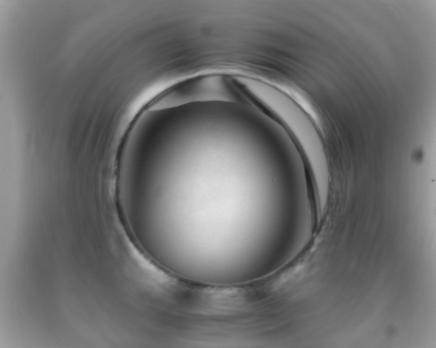 X0000091961143200709061256