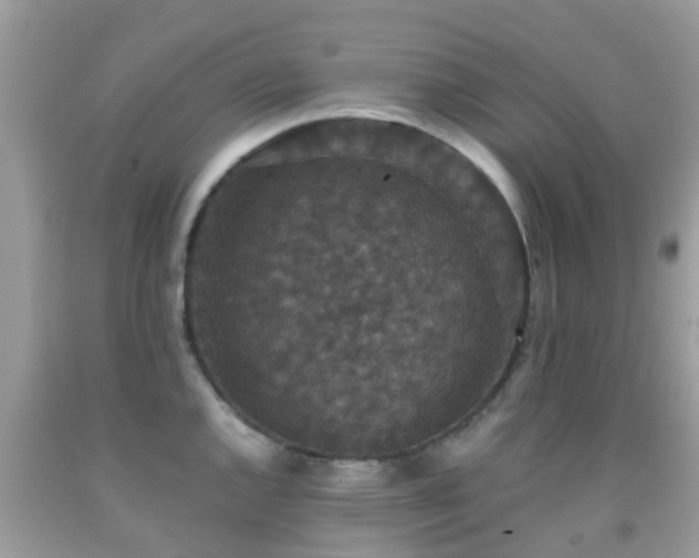 X0000091961144200709061256