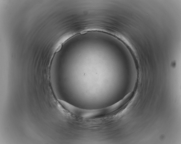 X0000091961145200709061256